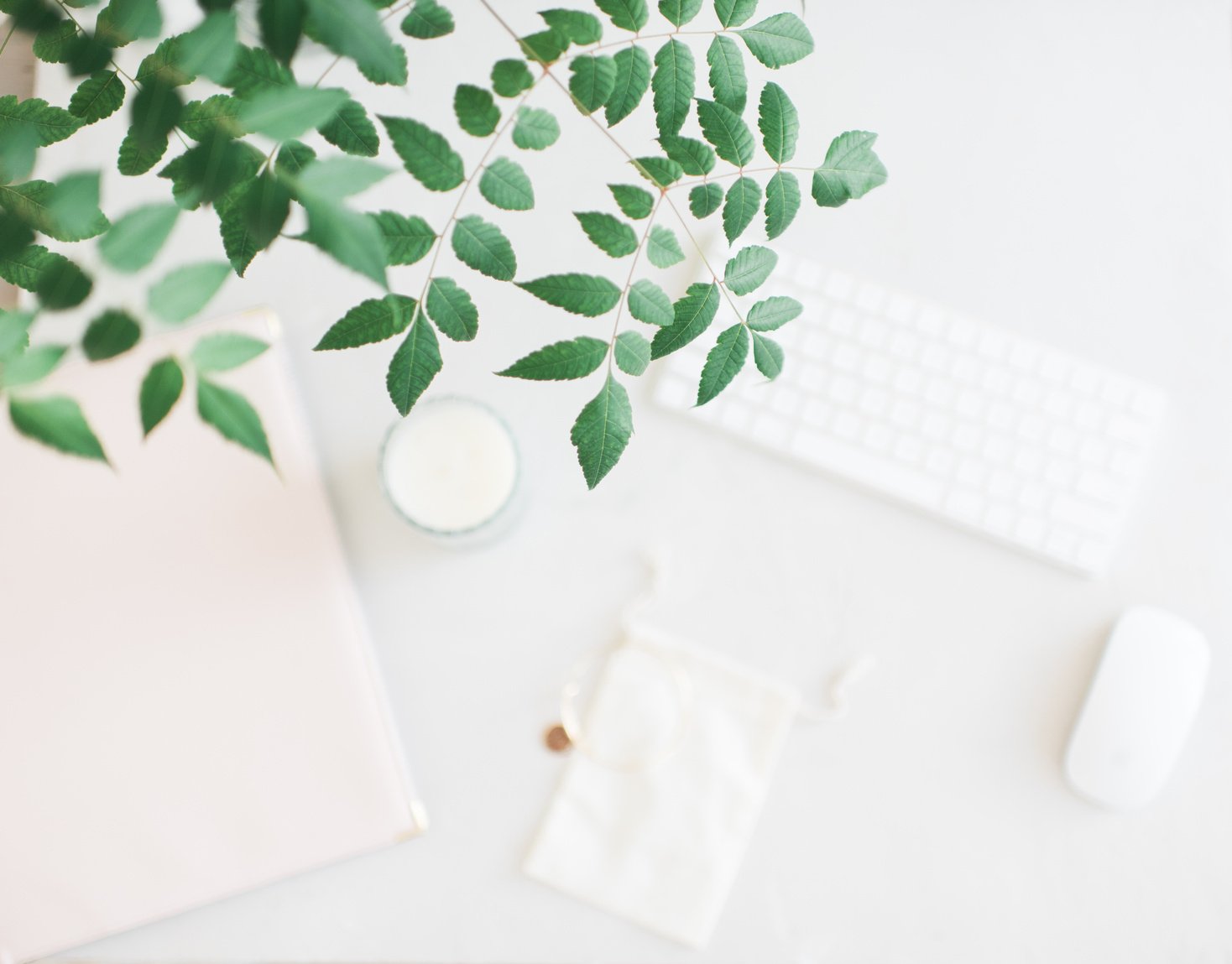 Work Desk With Supplies and Plants